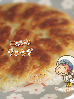 キャベツたっぷりのニラ入り餃子-レシピのメイン写真