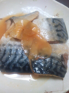 しょうが湯で鯖の味噌煮-レシピのメイン写真