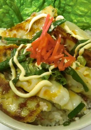 誰でも簡単マヨ餃子丼【再現……？】-レシピのメイン写真