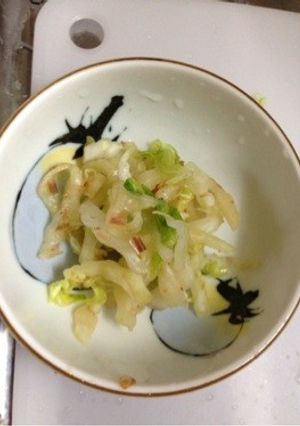 白菜onlyサラダ★-レシピのメイン写真