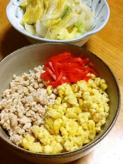 鶏そぼろ丼-レシピのメイン写真