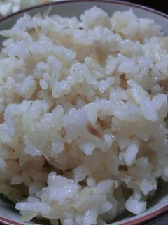 ツナごぼうご飯-レシピのメイン写真