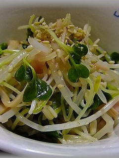 もやしとカイワレ菜のごまポン和え-レシピのメイン写真