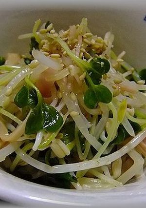 もやしとカイワレ菜のごまポン和え-レシピのメイン写真