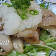 รูปของ 豚トロの炒めもの♪(大根おろしを添えて)