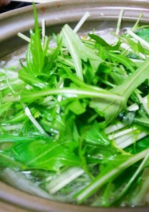 昆布だしと簡単材料で梅干し鍋♪-レシピのメイン写真