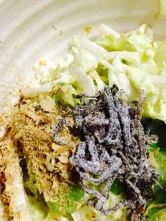 白菜のサラダ-レシピのメイン写真