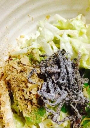 白菜のサラダ-レシピのメイン写真