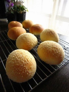 煮玉子パン♪-レシピのメイン写真