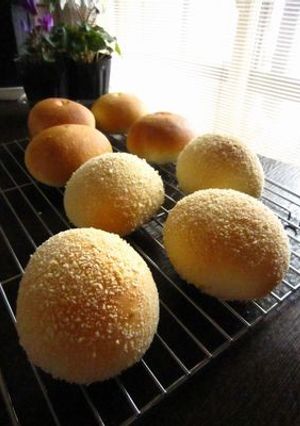 煮玉子パン♪-レシピのメイン写真