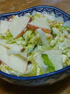 しゃきしゃき♪ 白菜とリンゴのサラダ-レシピのメイン写真