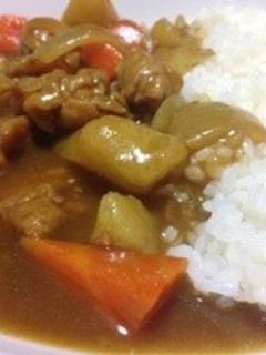 普通のカレー(゚∀゚)-レシピのメイン写真
