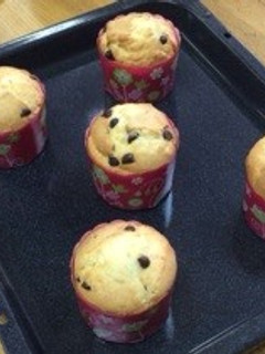 チョコチップマフィン-レシピのメイン写真