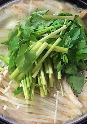 豆乳入りおぼろ豆腐でスープが旨い豆乳鍋-レシピのメイン写真