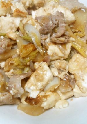 肉豆腐~我が家風-レシピのメイン写真