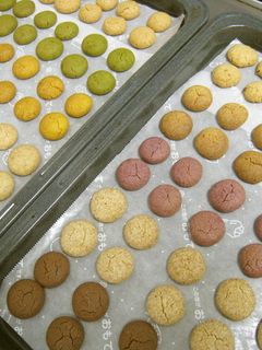 1.5時間でできる★10種類のちんすこう-レシピのメイン写真