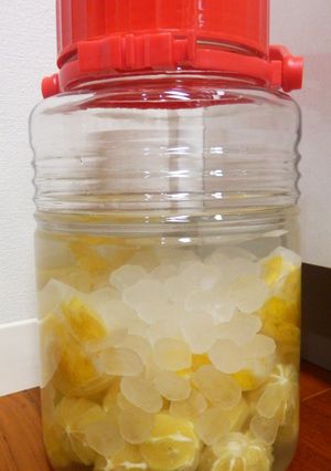 ゆず酒(果実酒)経過日記-レシピのメイン写真