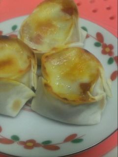 餃子の皮とお餅のおやつ-レシピのメイン写真