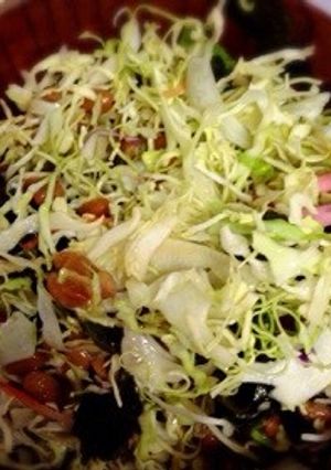 納豆キャベサラダ-レシピのメイン写真