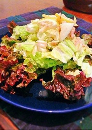 さっぱりサラダ!!-レシピのメイン写真