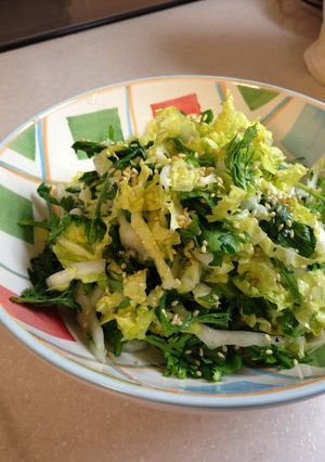 春菊と白菜のシャキッとサラダ-レシピのメイン写真