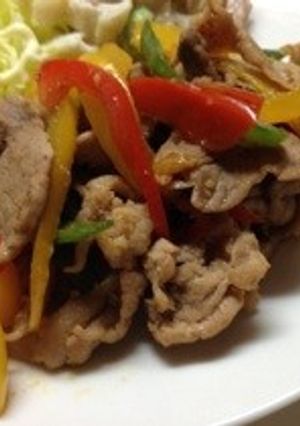 豚肉とピーマンのニンニク炒め(^_^)-レシピのメイン写真