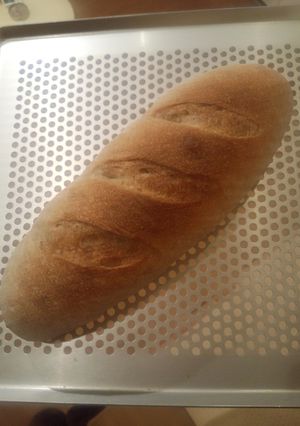 全粒粉を味わうフランスパン(ハード)-レシピのメイン写真