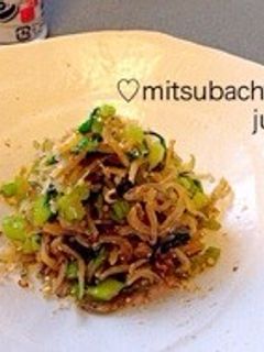 じゃことかぶの葉炒め-レシピのメイン写真