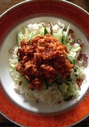本格派ヘルシージャージャー麺-レシピのメイン写真