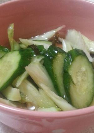 捨てないで！残り野菜★浅漬け-レシピのメイン写真