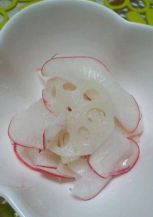 サラダ大根とレンコンの酢の物-レシピのメイン写真
