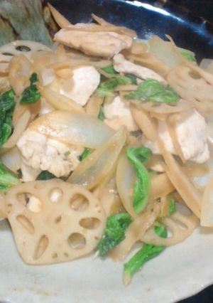ささ身と根菜の野菜炒め-レシピのメイン写真