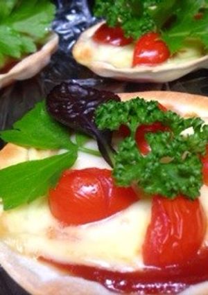 餃子の皮でミニピザ-レシピのメイン写真