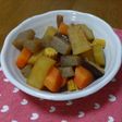 根菜のケチャップ入り酢煮