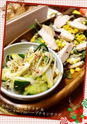 やみつきQと葱✴︎ハーブチキンサラダ-レシピのメイン写真