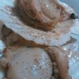 殻付きホタテのバター醤油焼き。
