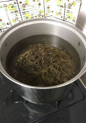 乾燥ぜんまいの戻し方（基本メモ）-レシピのメイン写真