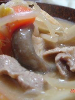 栄養満点~ポカポカ豚汁-レシピのメイン写真
