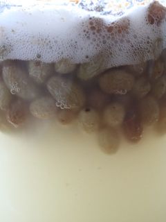 グリーンレーズンの酵母液-レシピのメイン写真