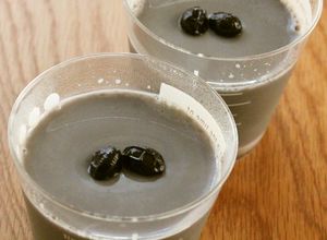 黒豆でリメイク！とろとろ～黒豆豆乳プリン-レシピのメイン写真