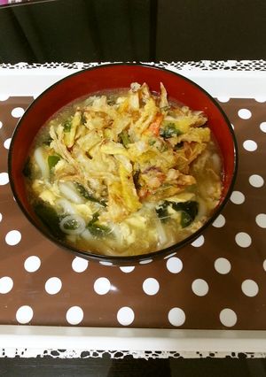 かき揚げ玉子うどん-レシピのメイン写真