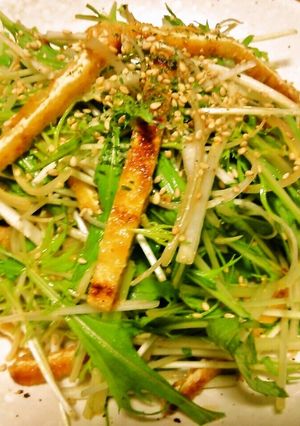 薄揚げと水菜のニンニク醤油-レシピのメイン写真