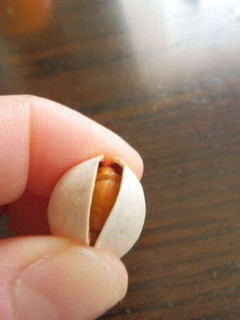ぎんなんの加熱にレンジdeチ~ン☆-レシピのメイン写真