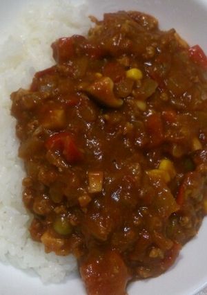 ☆我が家のキーマカレー☆ややピリ辛☆-レシピのメイン写真