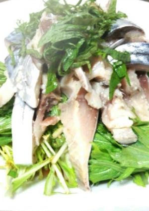 簡単♬〆鯖アレンジ♪♪-レシピのメイン写真