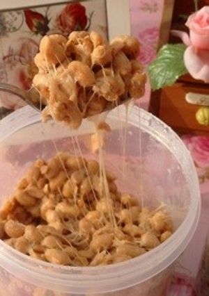 ヨーグルティアで手作り納豆-レシピのメイン写真