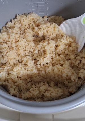 男の適当な簡単炊き込みご飯（鶏ごぼう）-レシピのメイン写真