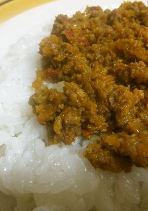 本格っぽいドライカレー-レシピのメイン写真