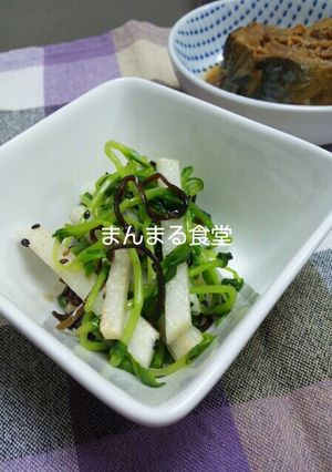 豆苗と大根と塩昆布のナムル-レシピのメイン写真