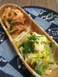 1日で食べられる簡単おいしい白菜の漬け物-レシピのメイン写真